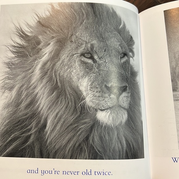 The Blue Day Book: A Lesson In Cheering Yourself Up - Picture 6 of 8